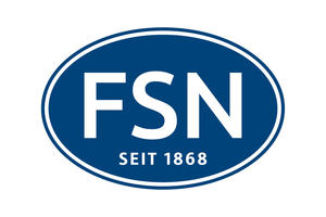 Logo FSN Unternehmensgruppe